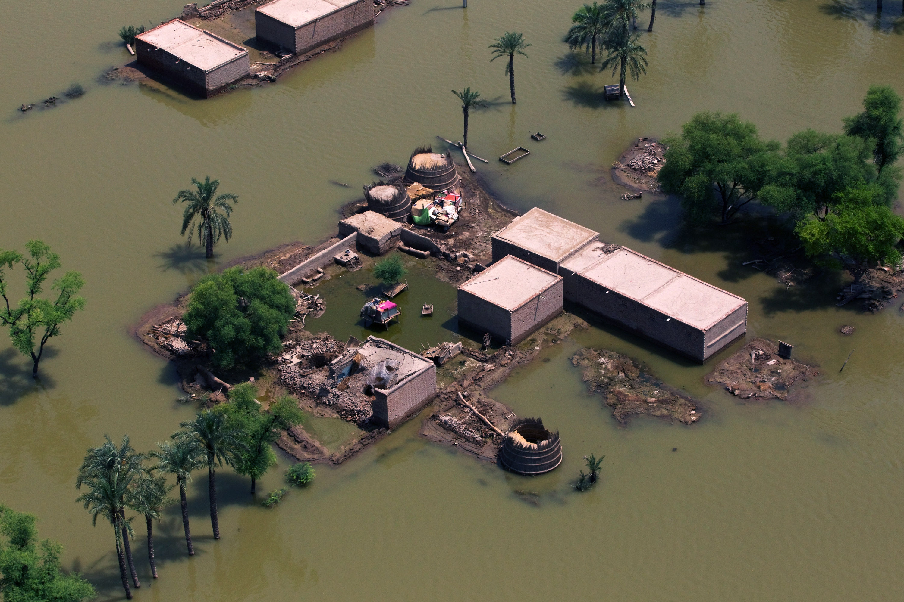 Climate anxiety vs climate action