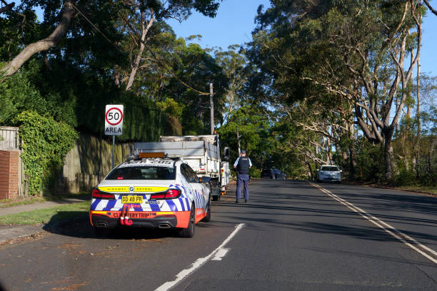 Driving and mobility implications under cannabis law